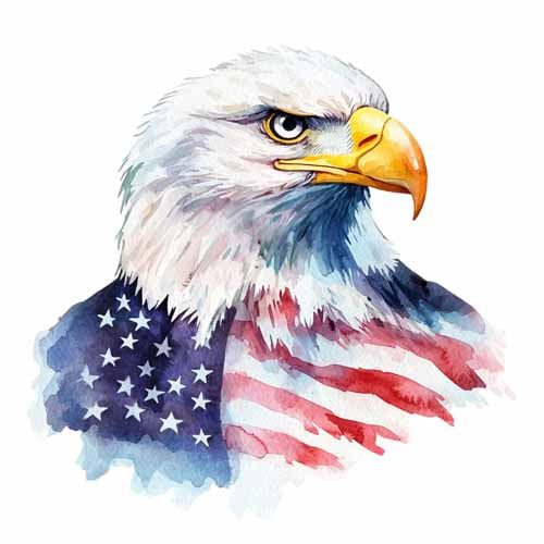 4th of july874