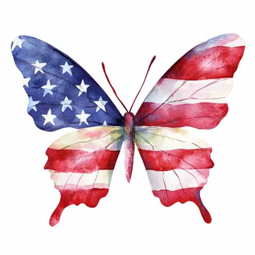 4th of july889