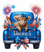 4th of july91