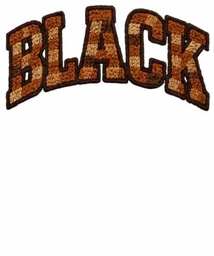 Black History494