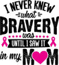 Breast Cancer282
