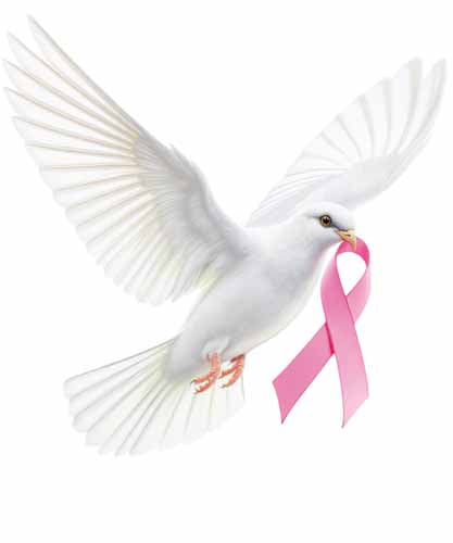 Breast Cancer411
