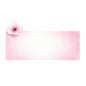 Breast Cancer423