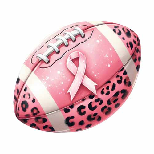 Breast Cancer480