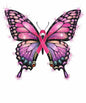 Breast Cancer574