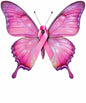 Breast Cancer634