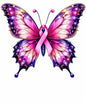 Breast Cancer834