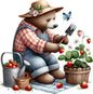 Cool bear24