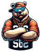 Cool bear40