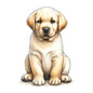 Dog104