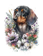 Dog107