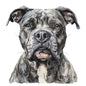 Dog110