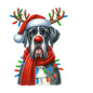 Dog12