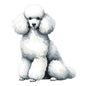 Dog130