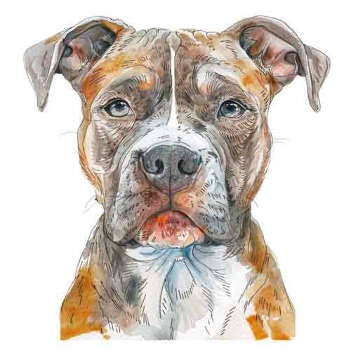 Dog133