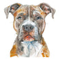 Dog133