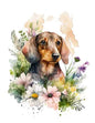 Dog137