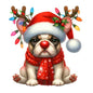 Dog14