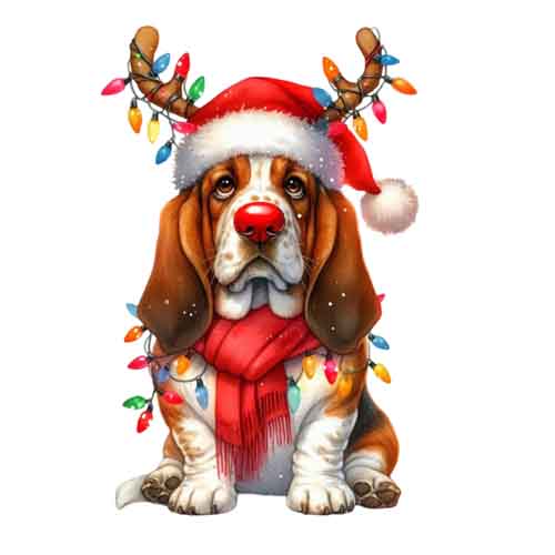 Dog15