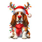 Dog15