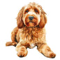 Dog150