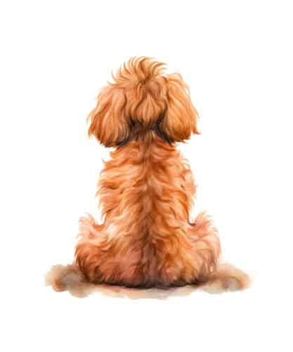 Dog152