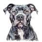 Dog154
