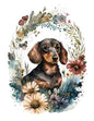 Dog158