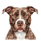 Dog164