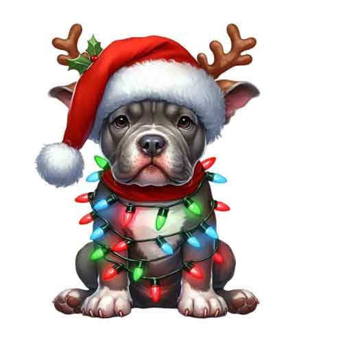 Dog17