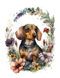 Dog179