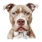 Dog184