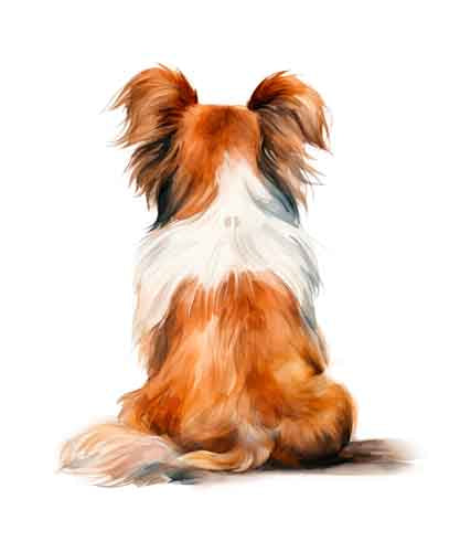 Dog189