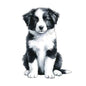 Dog2