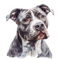Dog201