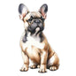 Dog207