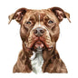 Dog209