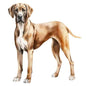 Dog217