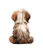 Dog220