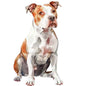 Dog228