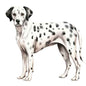 Dog235