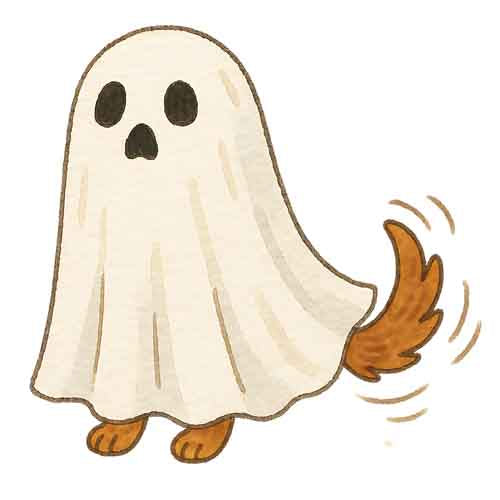 Dog239