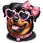 Dog242