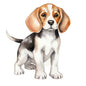 Dog260