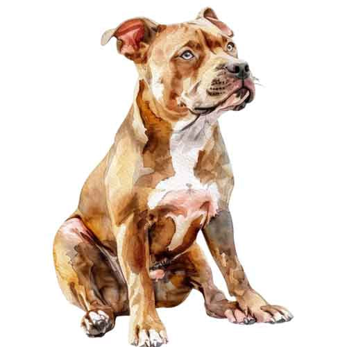 Dog265
