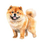 Dog266