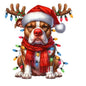 Dog27