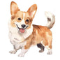 Dog272