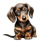 Dog277