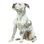 Dog280
